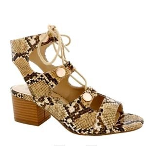 Penny Loves Kenny Lace Up High Heels